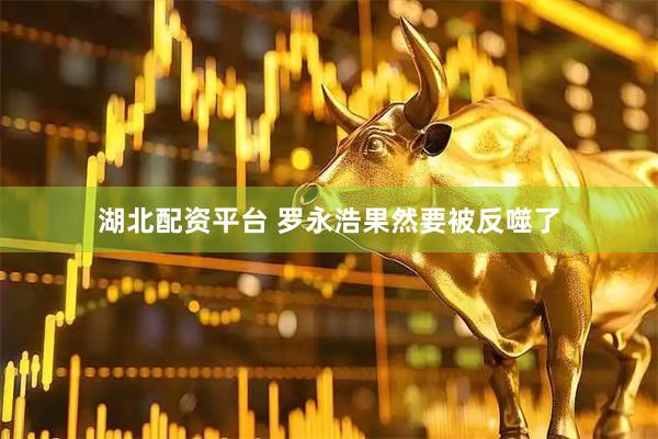 湖北配资平台 罗永浩果然要被反噬了